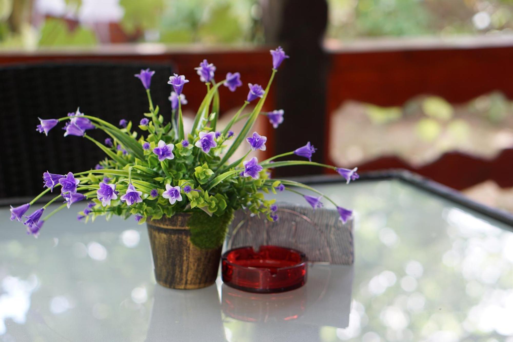 Villa Hanna'S Garden - Mintia Экстерьер фото